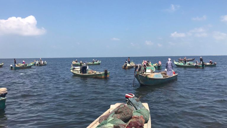 بحيرة البردويل.. قبلة الباحثين عن أجود أنواع الأسماك في مصر