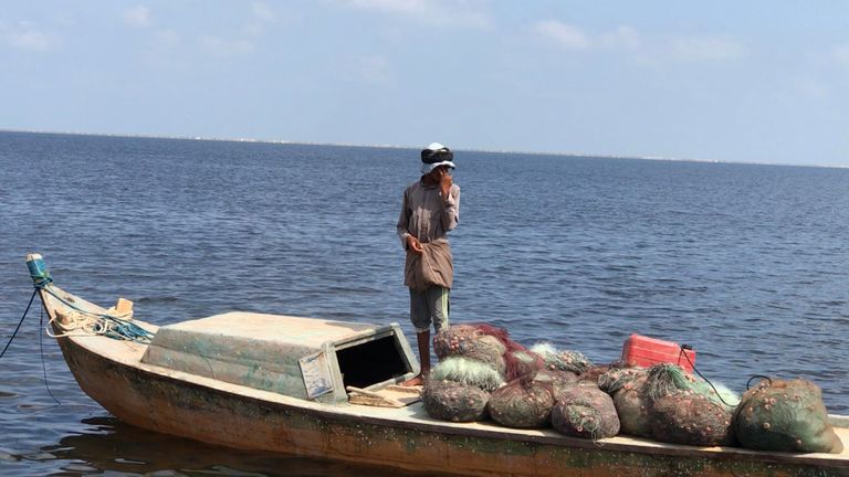 بحيرة البردويل.. قبلة الباحثين عن أجود أنواع الأسماك في مصر