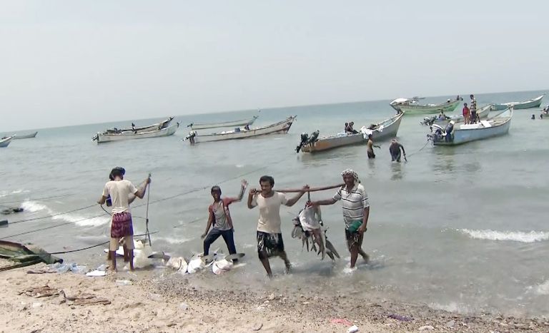 افتتاح مرسى قوارب الصيادين في مديرية الخوخة بالحديدة