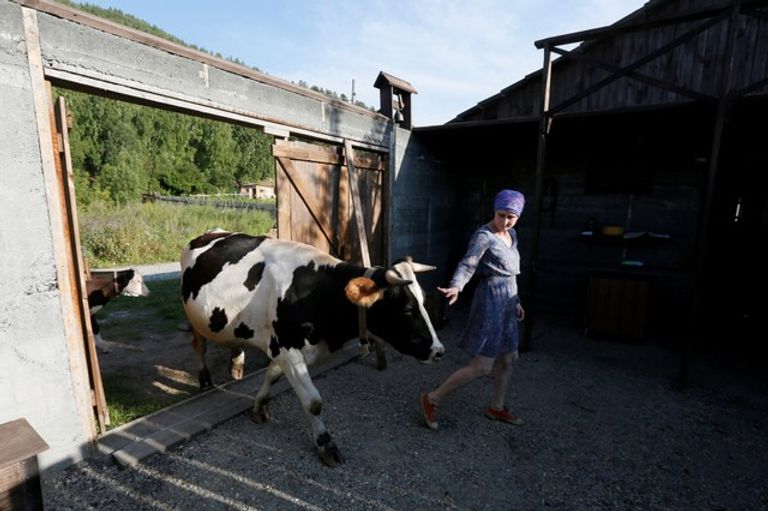 زوجان روسيان يتركان المدينة من أجل صناعة الجبن   