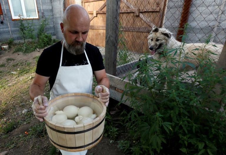 زوجان روسيان يتركان المدينة من أجل صناعة الجبن   