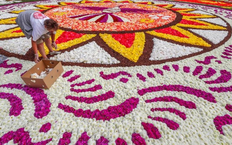 سجادة الزهور في بروكسل