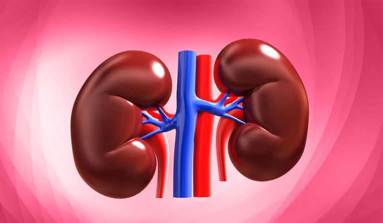 إرشادات توعوية لأصحاب الأمراض المزمنة في الحج