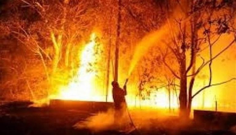 حرائق غابات في أستراليا - أرشيفية
