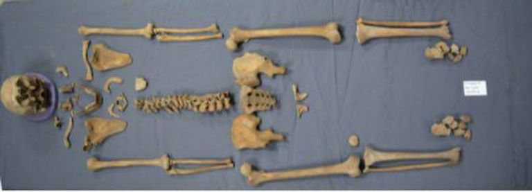 أثريون مصريون يكتشفون المزيد من أسرار "تابوت الإسكندرية"