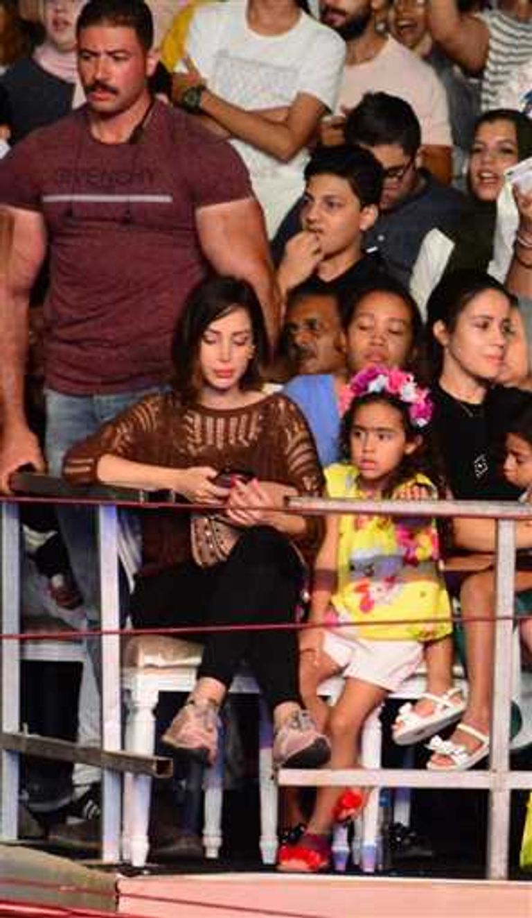 الفنان تامر حسني