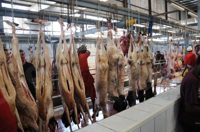 مسالخ مكة المكرمة تعلن جاهزيتها لاستقبال الأضاحي