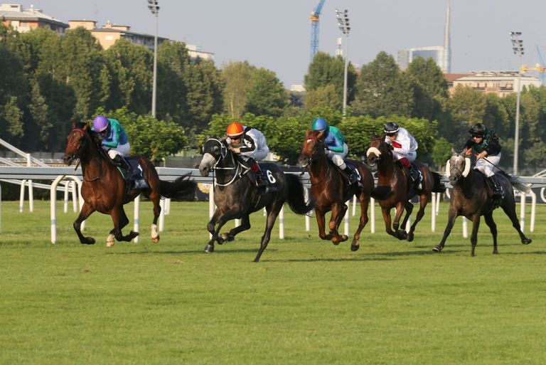 روسيا تستضيف الجولة السادسة لكأس رئيس الإمارات للخيول العربية الأصيلة