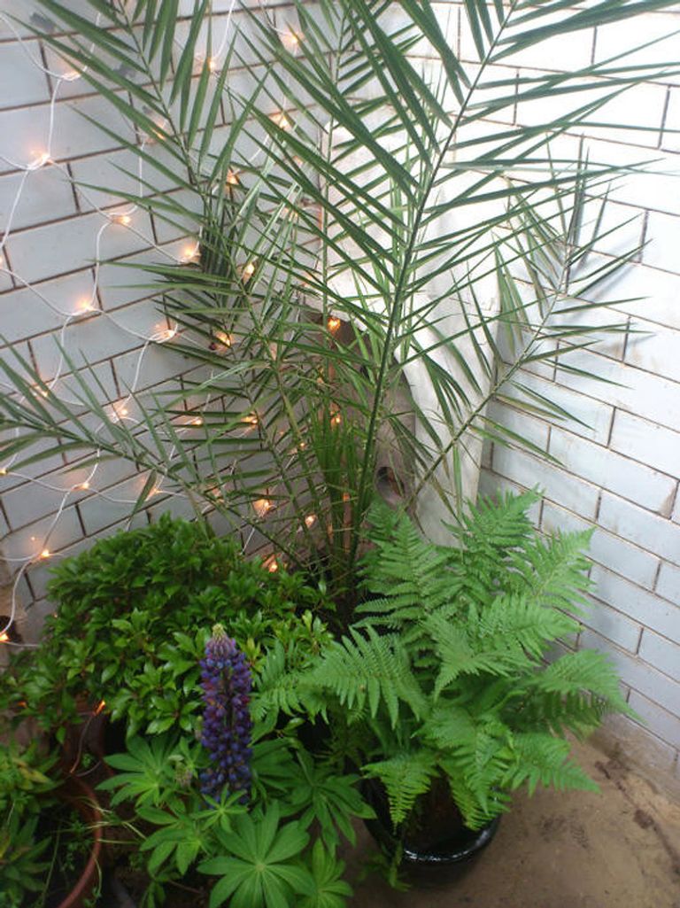 المنزل بعد الانتهاء من بنائه