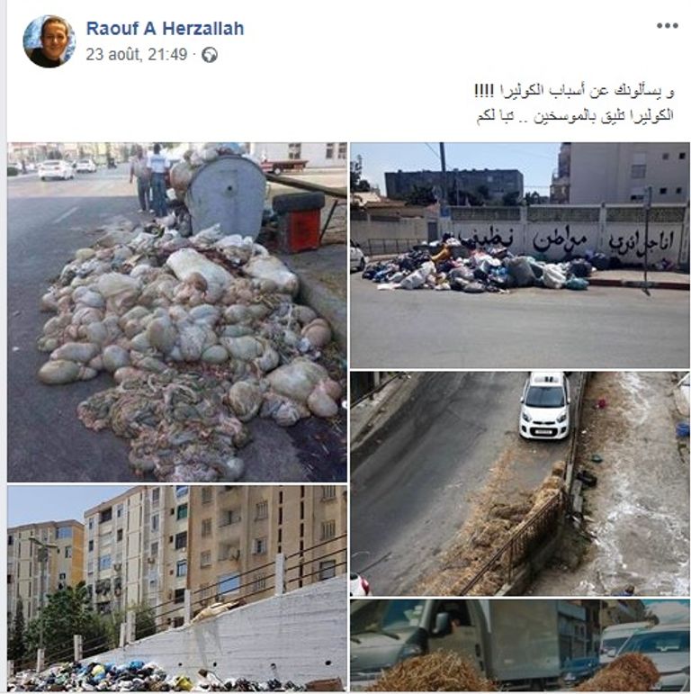 تعليقات الجزائريين على الفايسبوك جزائريون يسخرون من انتشار وباء الكوليرا