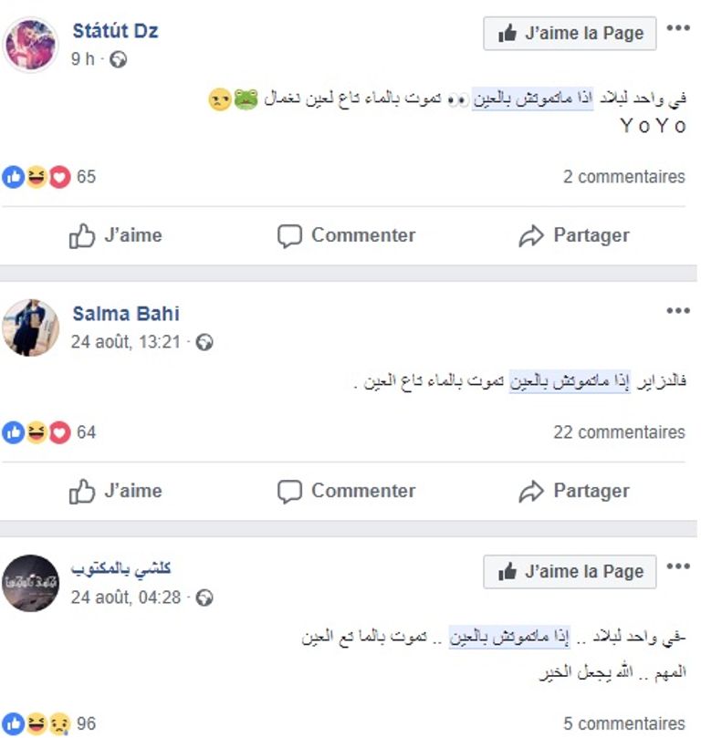 تعليقات الجزائريين على الفايسبوك جزائريون يسخرون من انتشار وباء الكوليرا
