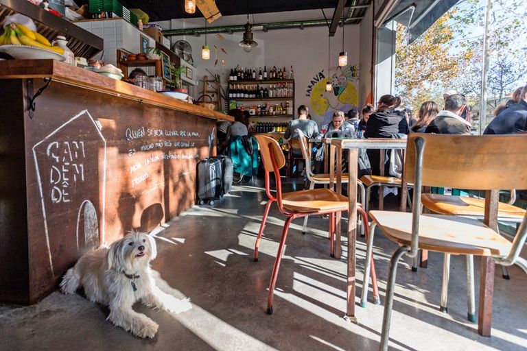 دليل إلكتروني للمناطق المسموح بها اصطحاب حيوانات أليفة بإسبانيا