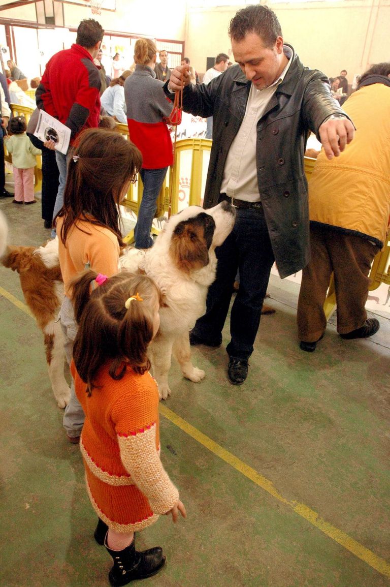 دليل إلكتروني للمناطق المسموح بها اصطحاب حيوانات أليفة بإسبانيا