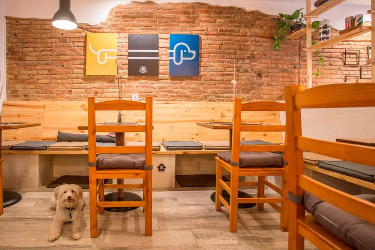 دليل إلكتروني للمناطق المسموح بها اصطحاب حيوانات أليفة بإسبانيا