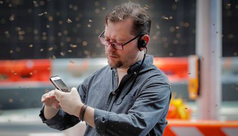 سرب من النحل في مانهاتن الأمريكية