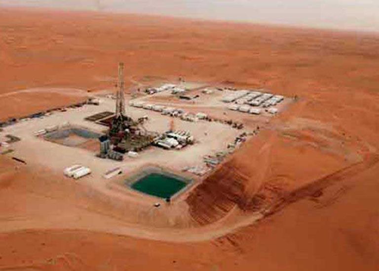 مشروع سوناطراك في دولة النيجر شركتا سوناطراك الجزائرية وبتروفاك البريطانية