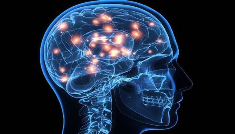 الدراسة تساعد على إيجاد علاجات أكثر تطوراً وسرعة لأمراض معقدة