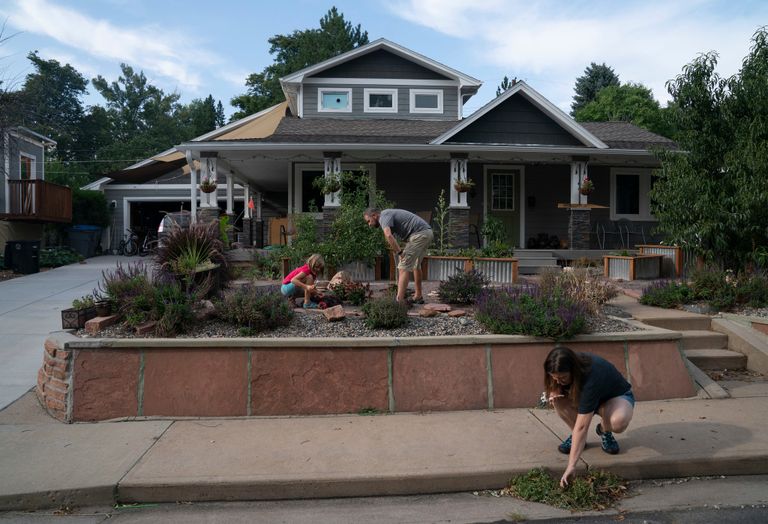 أحد أنصار حركة 