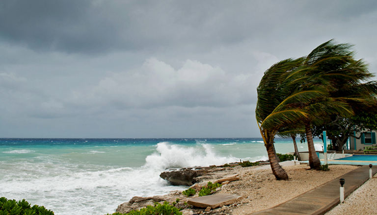 تحذير من عاصفة على ساحل خليج المكسيك في أمريكا
