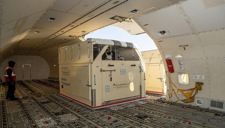 الإمارات للشحن الجوي تنفذ أكبر عملية نقل خيل في التاريخ