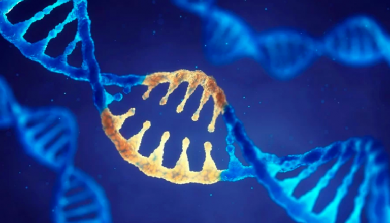 علماء يستخدمون تقنية التحرير الجيني لعلاج الأمراض الوراثية