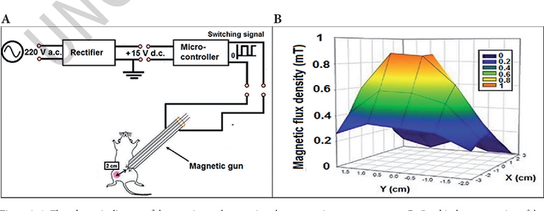 البكتيريا المذيبة للخلية السرطانية خطوة مهمة على طريق العلاج