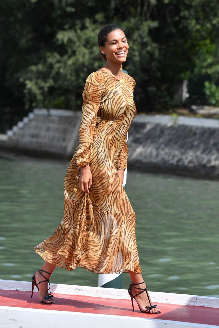 صيحة نقوش الحيوانات صيحة نقوش الحيوانات