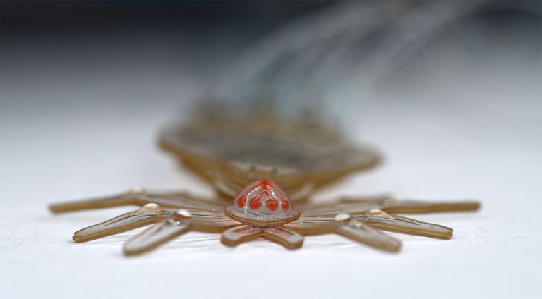 وبوت عنكبوتي صغير يمهد لاستخدامات طبية دقيقة