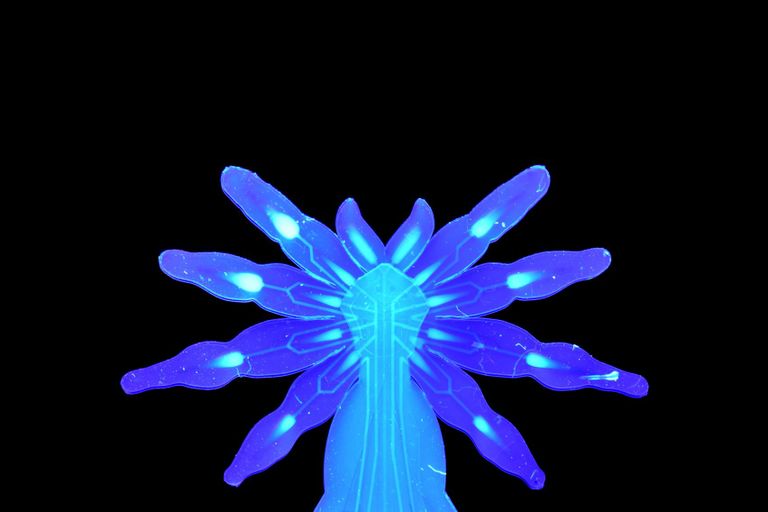 وبوت عنكبوتي صغير يمهد لاستخدامات طبية دقيقة