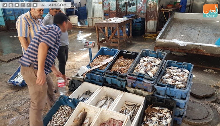 موسم صيد الجلمبات باب رزق لصغار الصيادين في غزة 