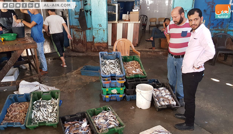 موسم صيد الجلمبات باب رزق لصغار الصيادين في غزة 