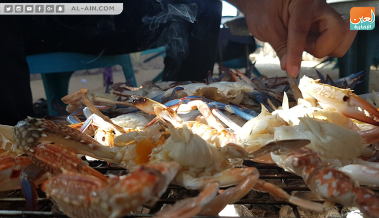 موسم صيد الجلمبات باب رزق لصغار الصيادين في غزة 