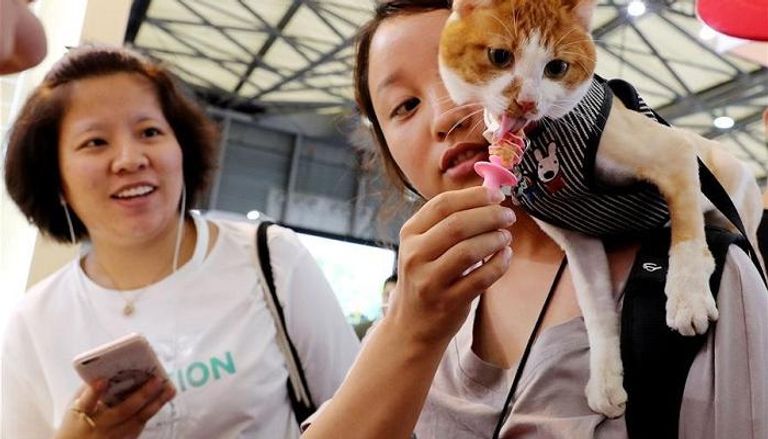 معرض الحيوانات الأليفة في الصين 