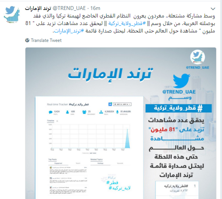 تميم بن حمد ورجب طيب أردوغان