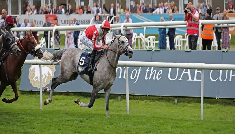 منافسات الجولة السابعة من كأس رئيس الدولة للخيول العربية الأصيلة