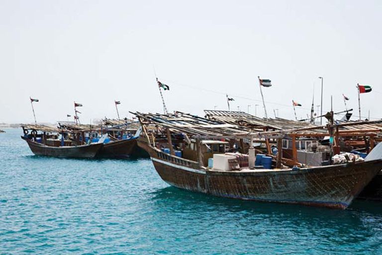 جزيرة دلما في أبوظبي