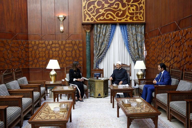 شيخ الأزهر خلال لقاء وفد من أبناء المصريين بأستراليا