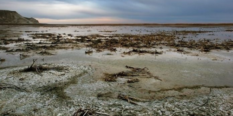 بحر آرال بعد انحساره