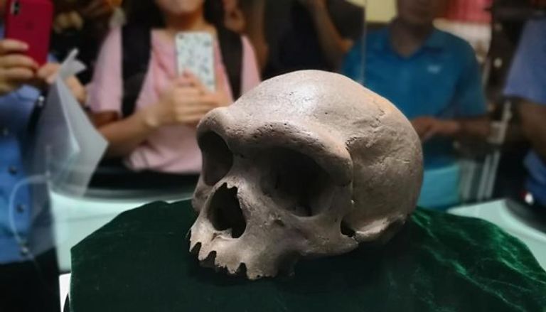 الجمجمة البشرية التي عثر عليها في الصين 