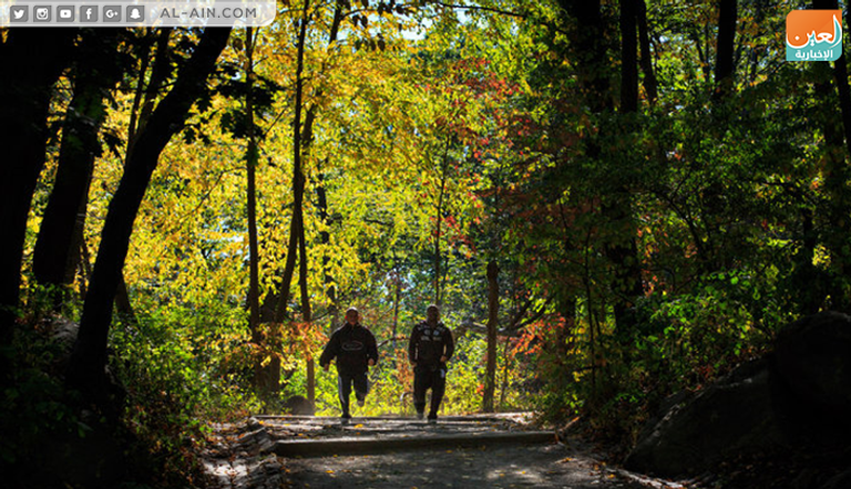 محمية طبيعية في نيويورك