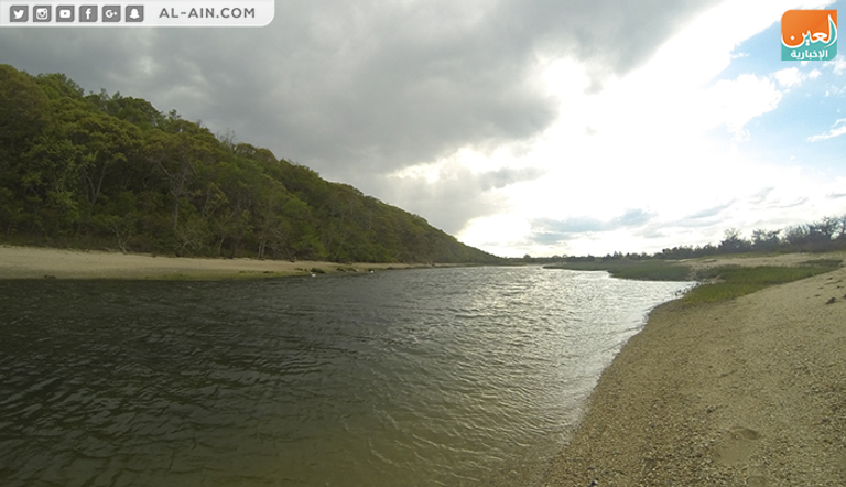 محمية طبيعية في نيويورك