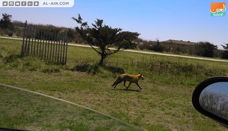 محمية طبيعية في نيويورك