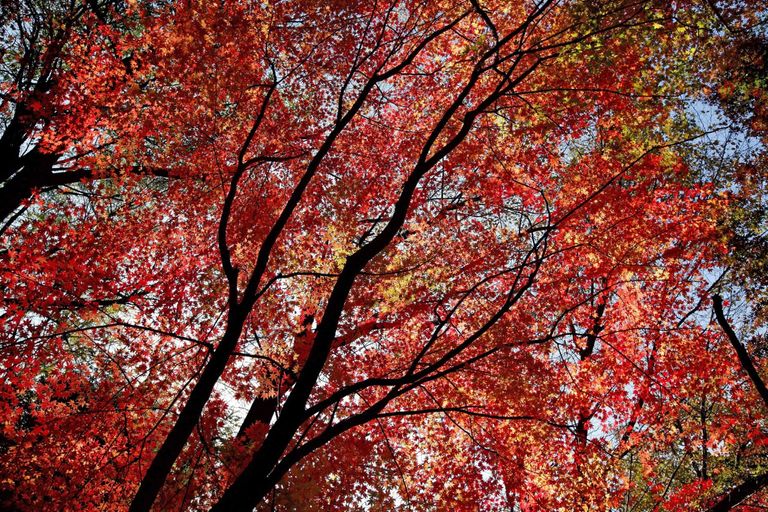 نصائح للاستمتاع بالعمل بعد إجازة طويلة