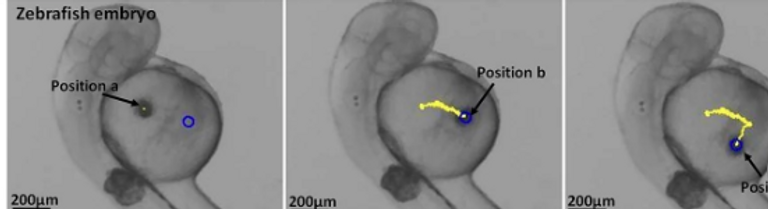 الفريق البحثي الصيني الذي طور الروبوت الجديد