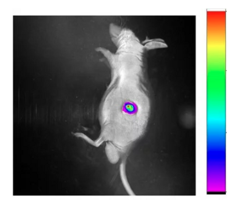 الفريق البحثي الصيني الذي طور الروبوت الجديد