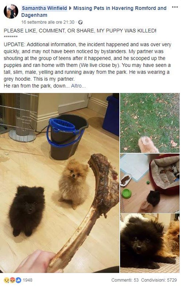 الفتاة البريطانية في صورة قديمة مع كلبتها