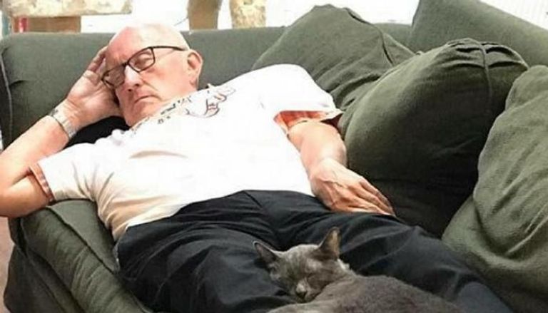 عجوز يتطوع للقيلولة بجوار القطط