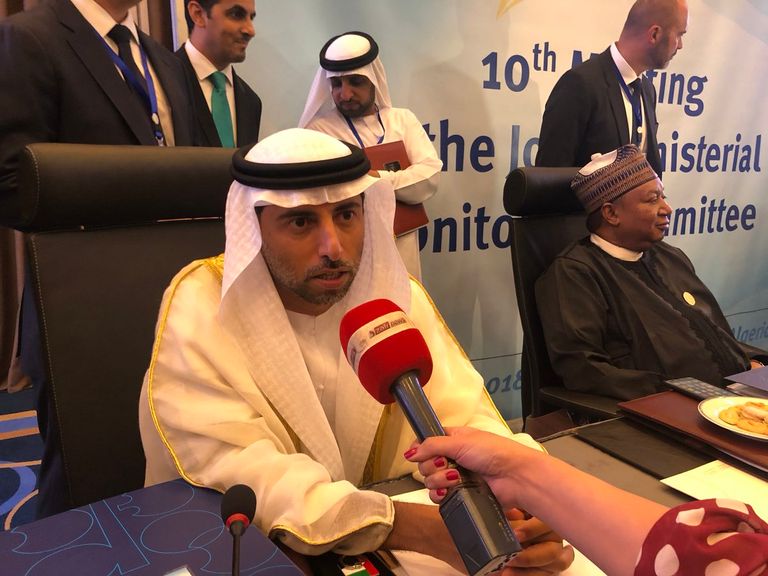 وزير الطاقة والصناعة الإماراتي سهيل المزروعي شعار أوبك على مقر المنظمة في فيينا - رويترز