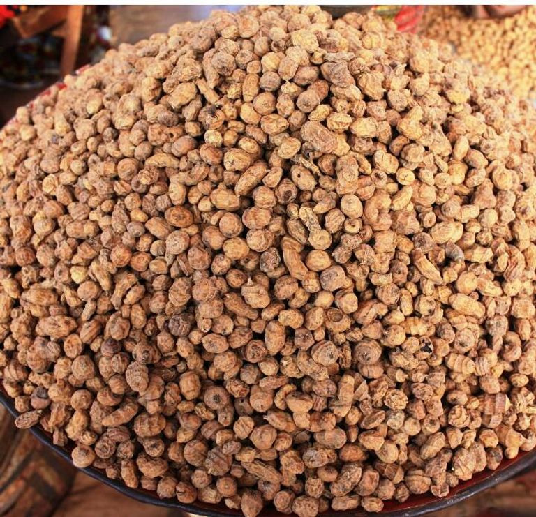 حب العزيز منظر من مقبرة فرعونية توضح عملية جمع حب العزيز