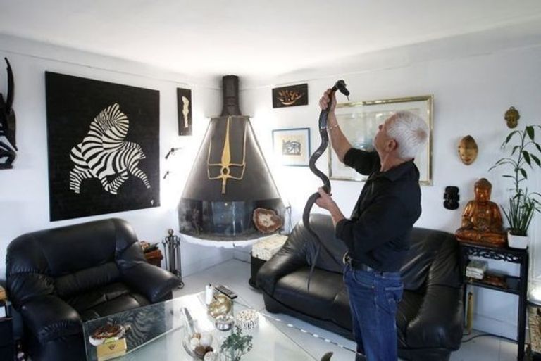 فرنسي يستضيف زواحف خطرة في منزله الفرنسي فيليب جيلليت برفقة تمساح في منزله